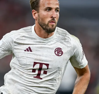 耕发展的雄 耕发展的雄